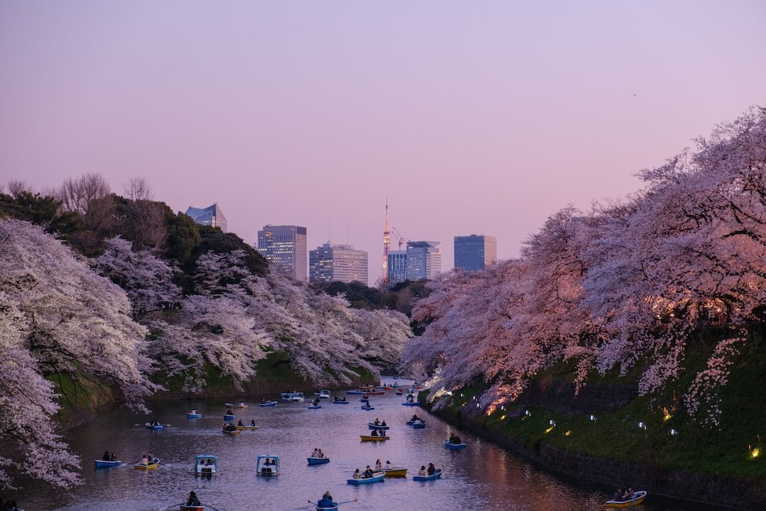 Discover Tokyo’s Top Spots to Immerse Yourself in Traditional Japanese Culture