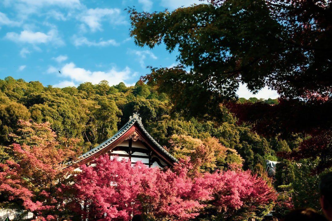 Exploring the Vibrant Culture and Cuisine of Kansai: A Journey Through Japan’s Heartland
