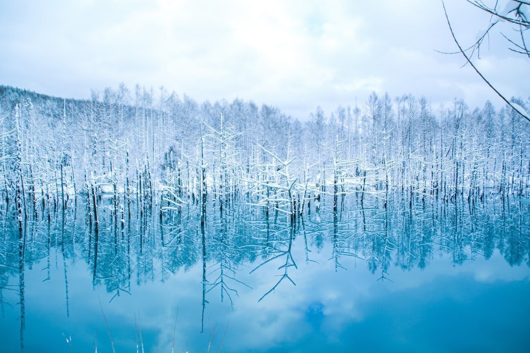 Discovering the Wonders of Hokkaido: A Journey Through Japan’s Northern Island