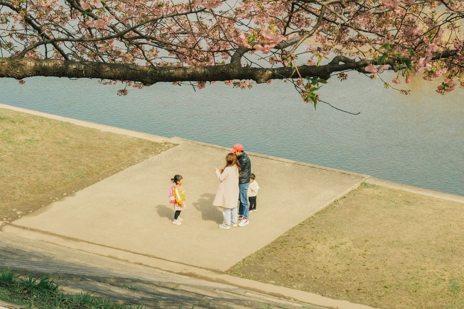 A family with two young children standing under a blooming cherry blossom branch beside a river in Okazaki, Japan