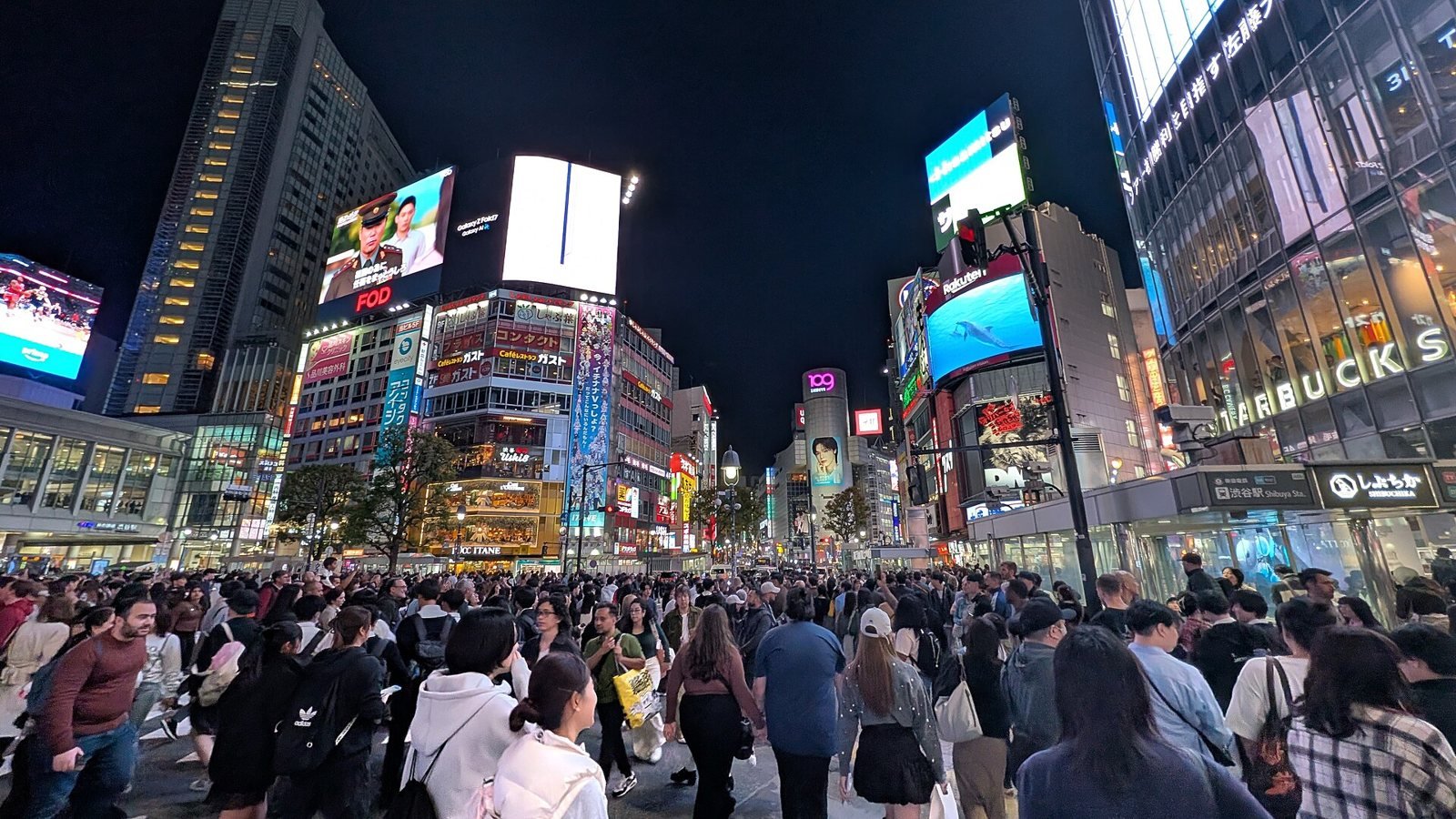 Is It Safe to Travel to Japan Right Now? Earthquakes, Typhoons, Bears and What to Know (Late 2026)