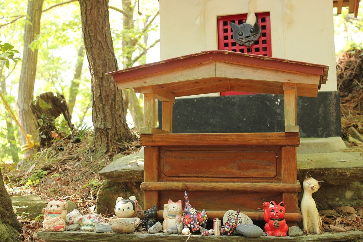 The small wooden cat shrine on Tashirojima surrounded by trees, with lucky-cat figurines and cat statues placed in front