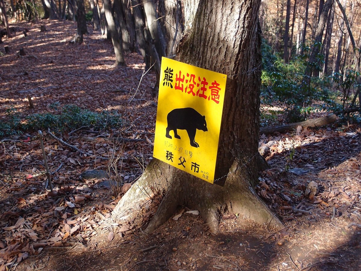 Yellow Japanese bear warning sign with a black bear silhouette nailed to a tree beside a forest hiking trail